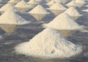 service